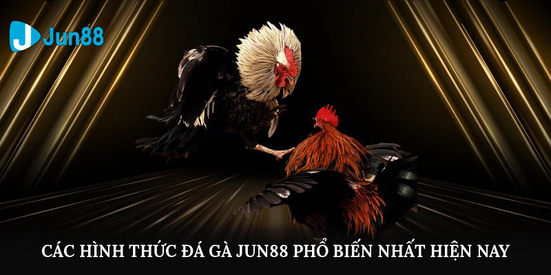 Các hình thức đá gà Jun88 phổ biến nhất hiện nay