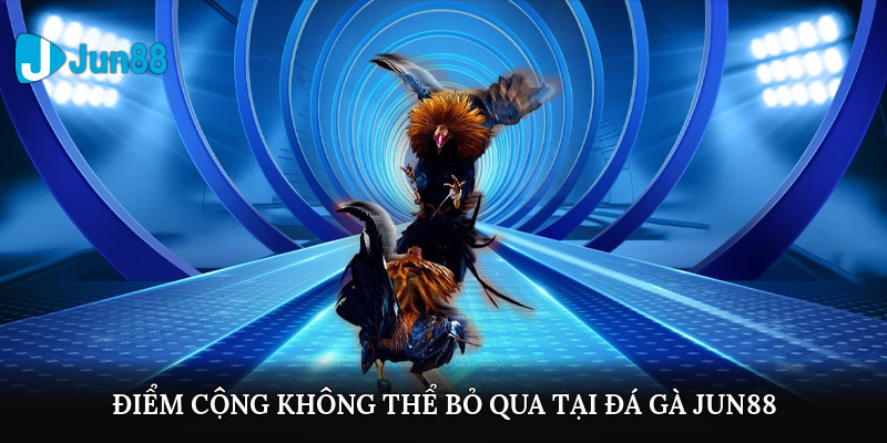 Điểm cộng không thể bỏ qua tại đá gà JUN88